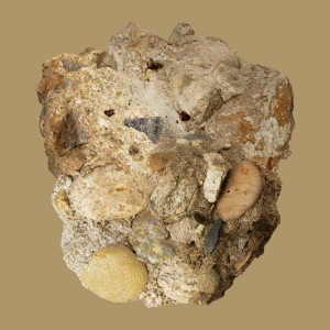 My whole world by Car, the garden