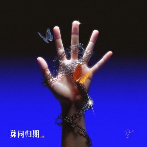 莫问归期 - DJ版