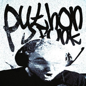 PYTHON FUNK - Slowed