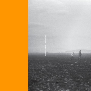Nest (Portico Quartet Remix)