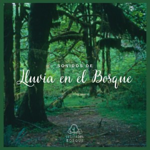 Sonidos de Lluvia en el Bosque (Pt. 10)