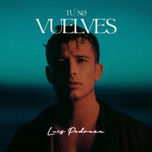 Tu No Vuelves by Luis Pedraza