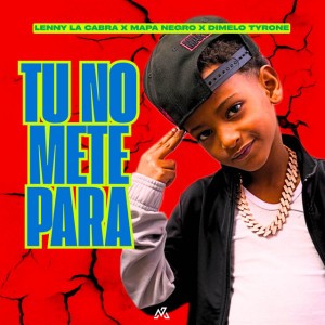 TU NO METE PARA