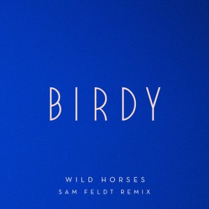 Wild Horses (Sam Feldt remix)