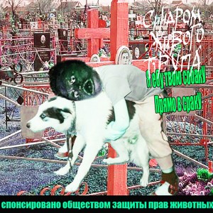 Я ебу твою собаку прямо в сраку