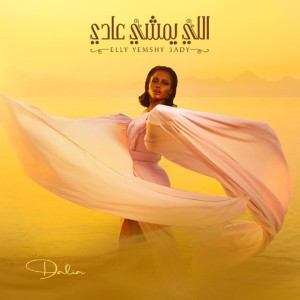 اللي يمشي عادي