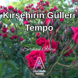 Kırşehirin Gülleri