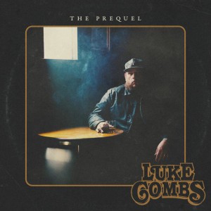 Days Like These by Luke Combs