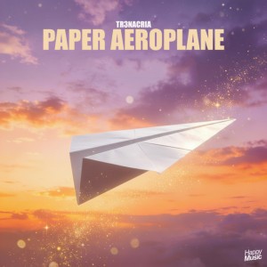 Paper Aeroplane by TR3NACRIA