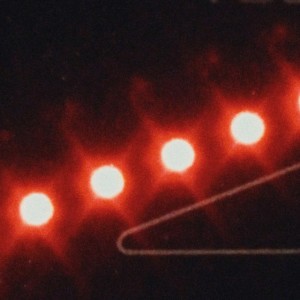 Naj dela vsak kar hoče