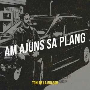 Am Ajuns Sa Plang