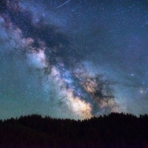 Moonlit Pleasures