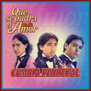 Que Se Pudra el Amor by Cumbia Pedregal
