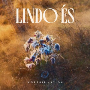 Lindo És