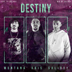 destiny