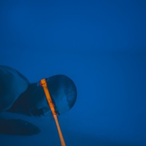 Королева мечты