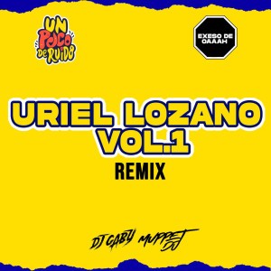 Me Dejo de Querer Remix