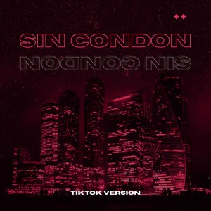 Sin Condon (TikTok Version) - Remix