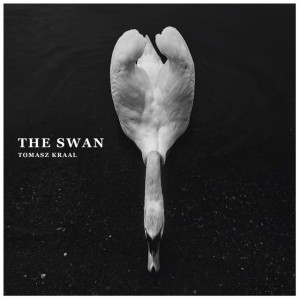 The Swan