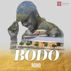 Afro Mgodro by Bodo