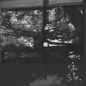 秋葉緣 by Terence Lam