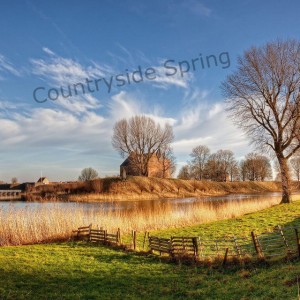 Countryside Spring