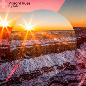 Vibrant Hues