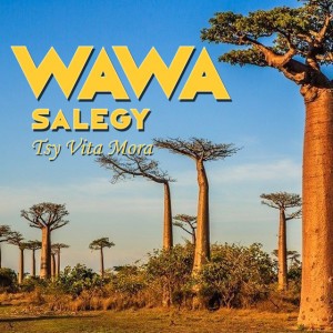 Tsy Vita Mora by Wawa Salegy