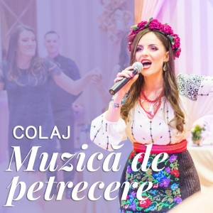 Colaj Muzica de Petrecere