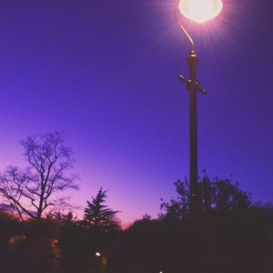Late Autumn
