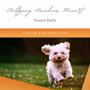 Piano Sonata No. 16 in C Major, K. 545 "Sonata Facile": I. Allegro