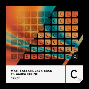 Crazy - Extended Mix by Matt Sassari & Jack Back & David Guetta & Amira Eldine
