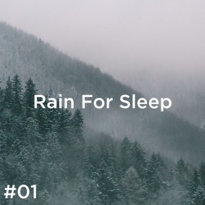 Rain Sounds To Sleep