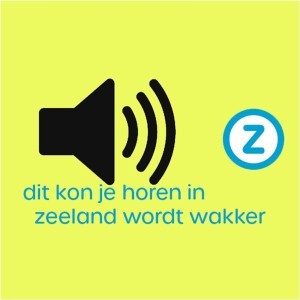 Muzikant Hans van Woodworks over zijn actie