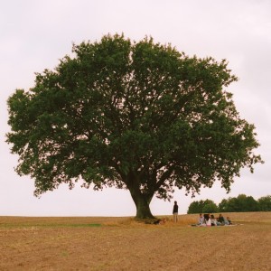 Flue i et spind by APHACA