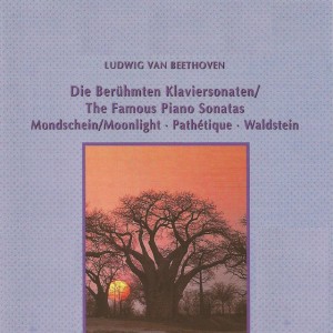 Piano Sonata No. 8, Op. 13: III. Rondo. Allegro