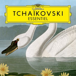 Piano Concerto No. 1 in B-Flat Minor, Op. 23, TH.55: 1. Allegro non troppo e molto maestoso - Allegro con spirito