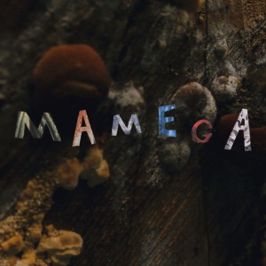 Mamega