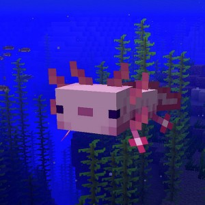 Axolotl in the Ocean