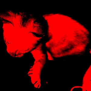 noir - slowed down