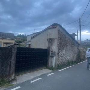 japanese dem
