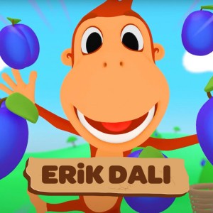Erik Dalı
