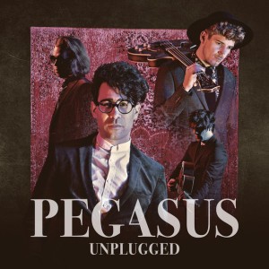 I Take It All (Unplugged)