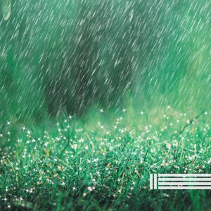 Sounds of Nature Zone, Rain Sounds Reserve – hoheub