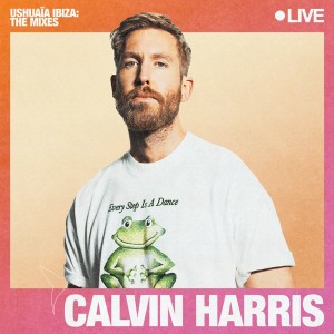 We Found Love (feat. Calvin Harris) [Mixed]