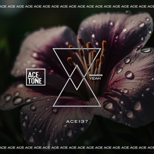 Yeah - Original Mix