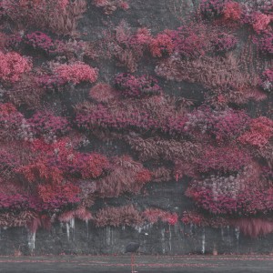 Look To Windward