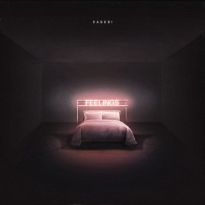 Feelings