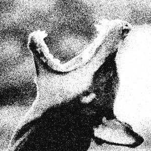 Sick Dogs by hey, nothing