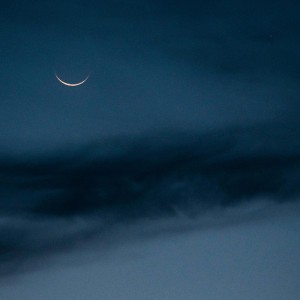 Quiet Hours